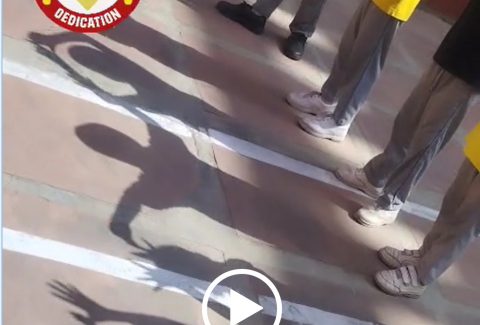 Shadow play exploration