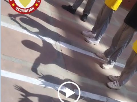 Shadow play exploration