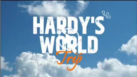 world